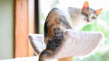 施設内の設備 / 22