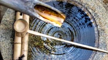 シティ ビュー / 16