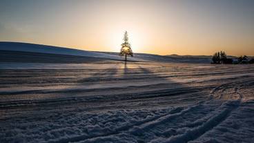 施設からの眺望 / 27