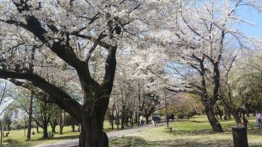 観光スポット / 11