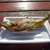 道の駅 奥久慈だいご（オククジダイゴ）