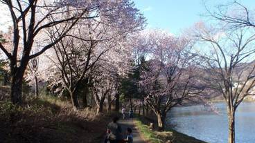 観光スポット / 2