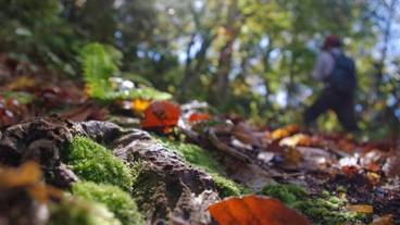 シティ ビュー / 32