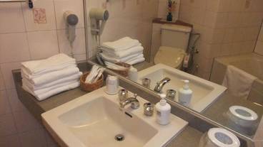 バスルームの設備 / 19