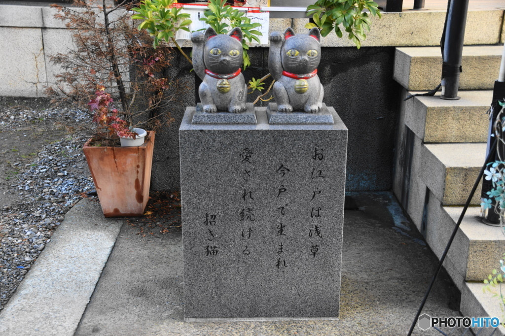 境内にはたくさんの招き猫たちが894985