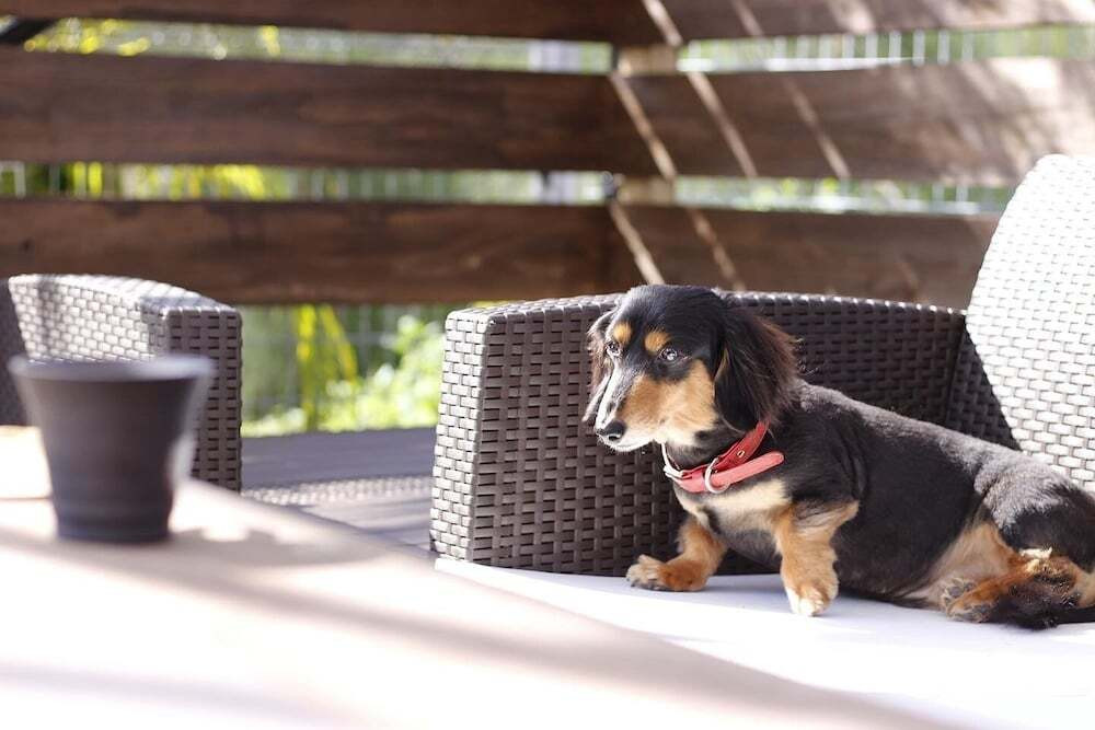 ペット用設備・サービス