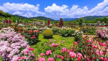 バガデル公園 / 4