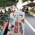 1日楽しめる高知の「日曜市」でご当地グルメを食べ歩きしよう!
