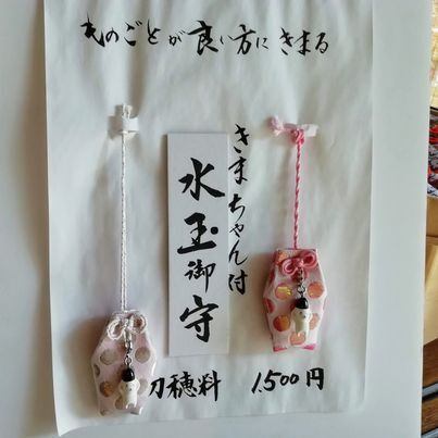 hatosabukoさんの写真 / 6