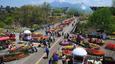 観光スポット / 6