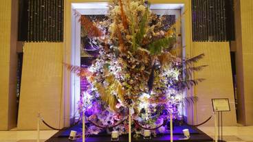 内部エントランス / 3