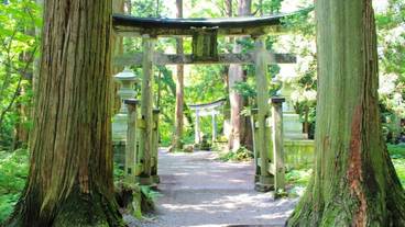 施設の敷地 / 34