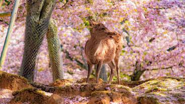 宿泊施設の地図 / 3