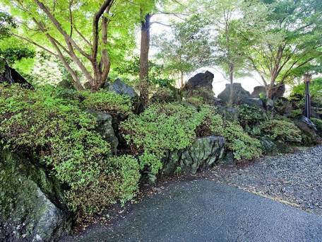 山鹿温泉 熊本旬彩の宿ゆとりろ山鹿 / 4