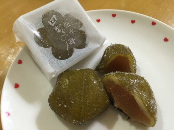 「松栄堂 総本店」料理 988001 