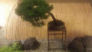 施設の敷地 / 38