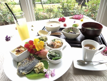 医師や栄養士が監修したヘルシー料理に舌鼓3707212