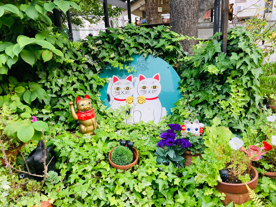 ai__n__23さんの写真 / 3