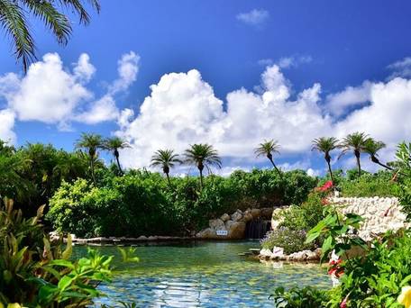 シギラベイサイドスイート アラマンダ（宮古島） / 4