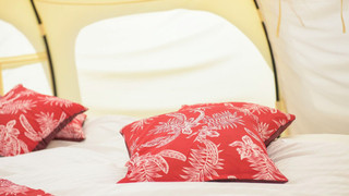 ハワイアンズ ラージテント（禁煙）