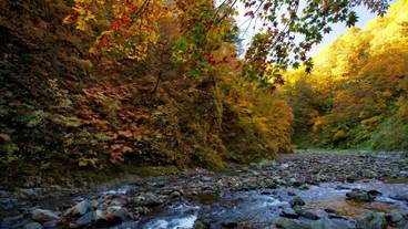 施設の敷地 / 19