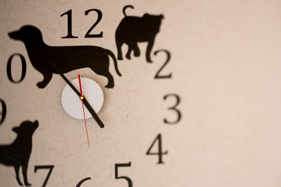 インテリアのイメージ