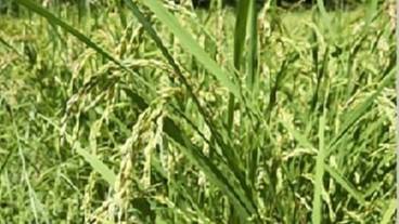 施設の敷地 / 18