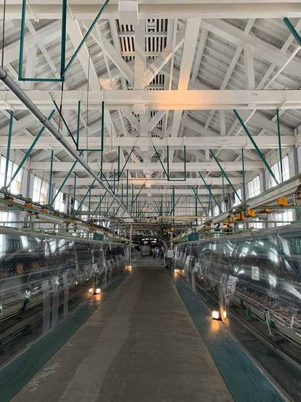 memoria0804さんの写真 / 1