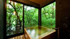 はなれの宿 千の森