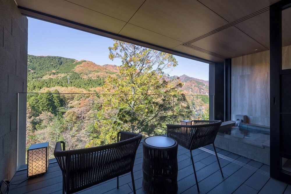 テラス / パティオ