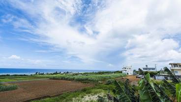 ビーチ / オーシャン ビュー / 8