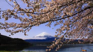 マウンテン ビュー / 8