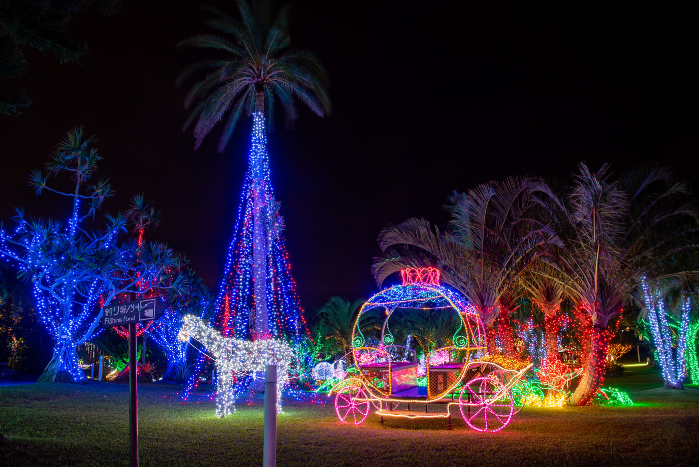 沖縄　冬の東南植物楽園　イルミネーション　クリスマスツリーと光の馬車