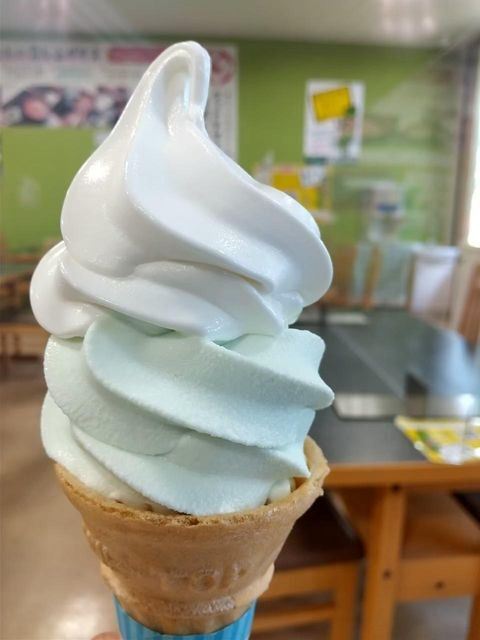 伊豆名産のわさび漬などを製造する「伊豆わさびミュージアム」。工場見学やわさびを使ったグルメを楽しめる。‟わさびマヨネーズがおすすめ”だそう。アクセスは宿から車で約70分 / 3