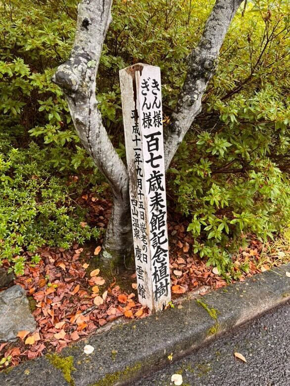 aoyuuzさんの写真 / 3