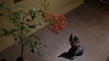 内装の詳細 / 12