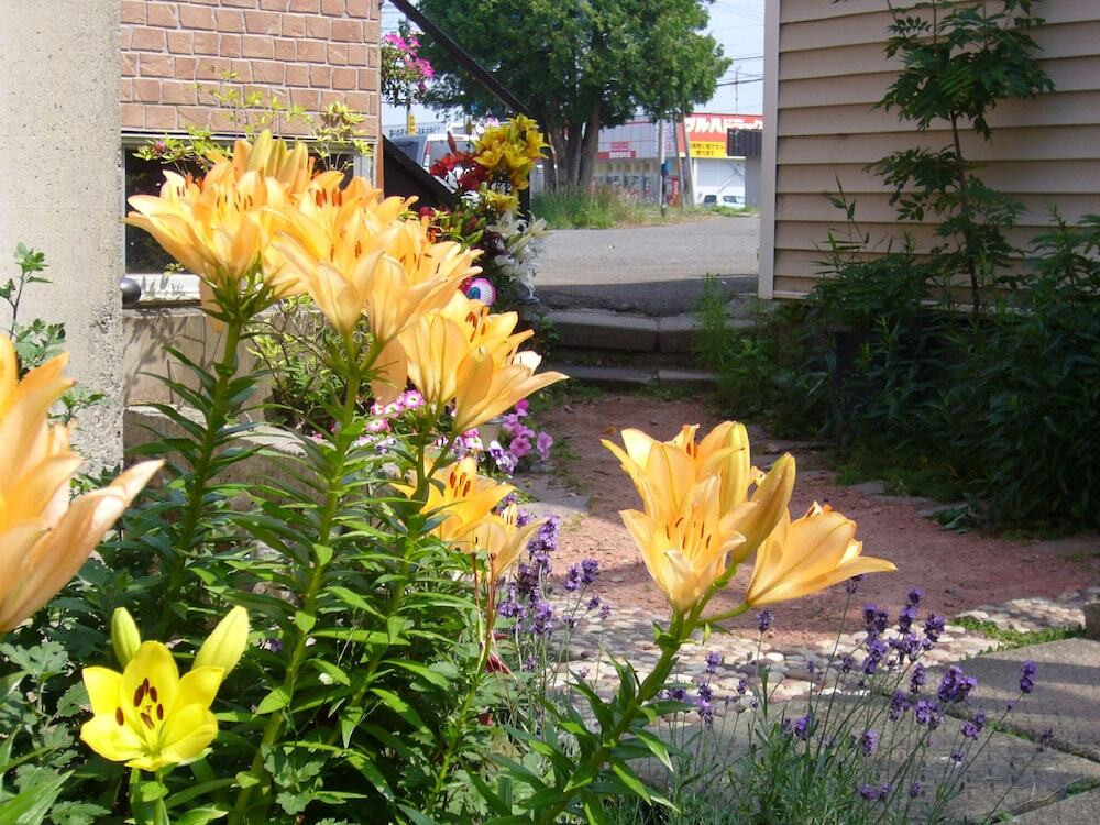 施設からの眺望