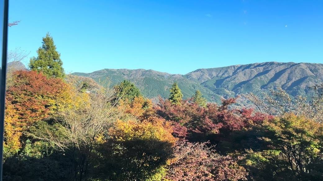 茶房ロビーからの眺め① / 1