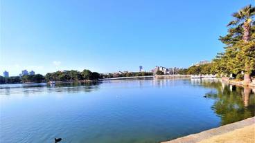 ランド ビュー / 11