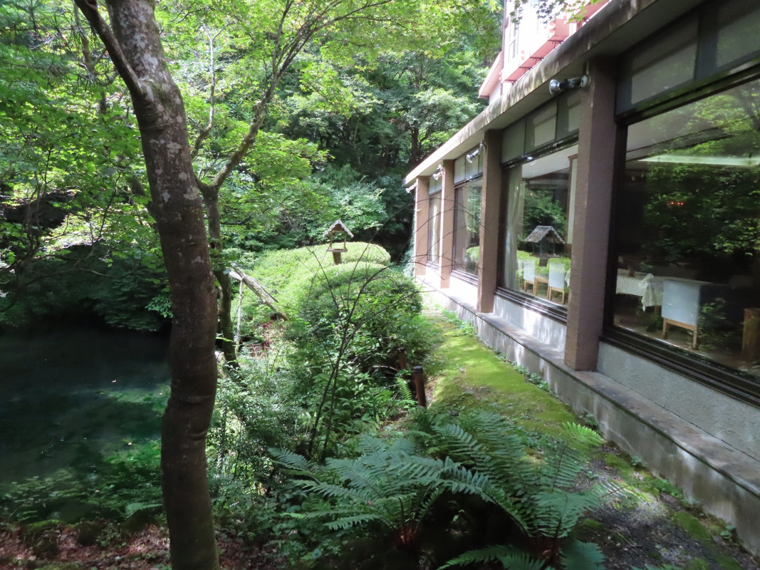 ロビーと外の庭