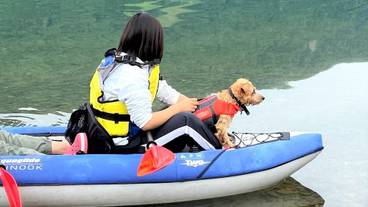 ペット同伴可 / 22