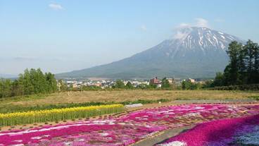 ランド ビュー / 19