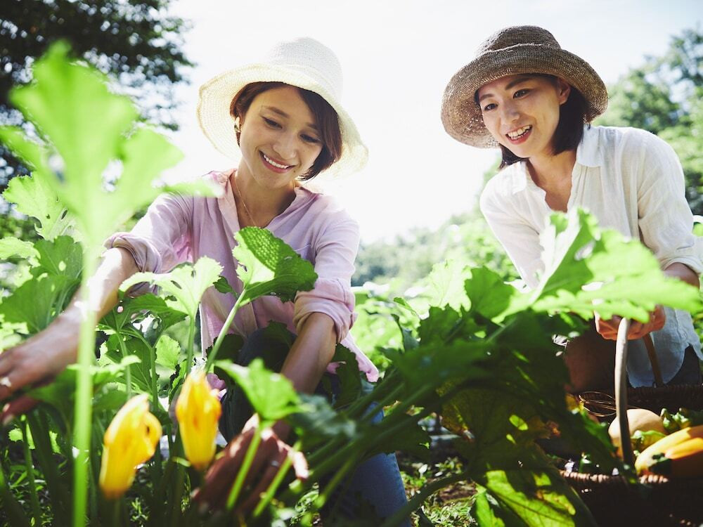 アグリガーデン