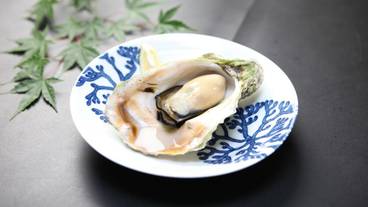 食事・飲み物 / 3