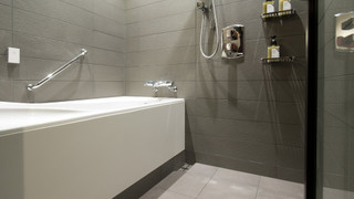 禁煙 25平米 モデレートダブル エグゼクティブフロア