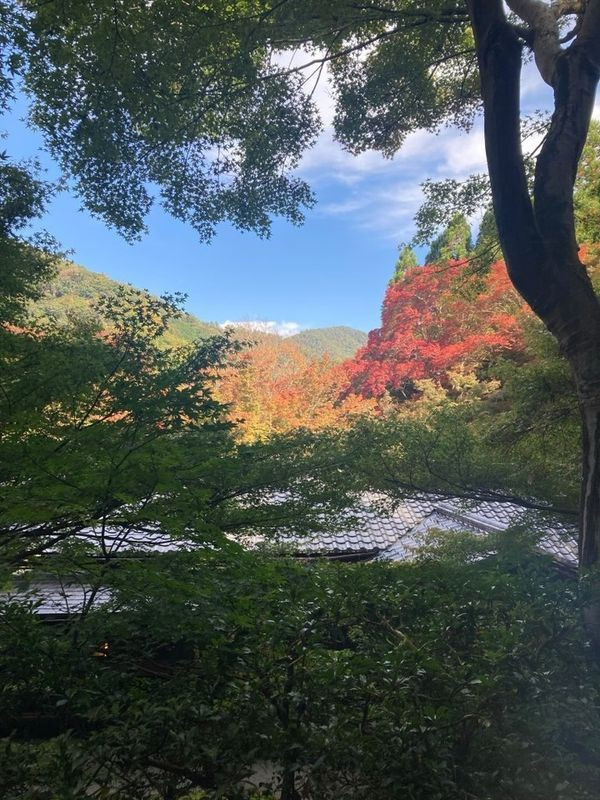 tabi_nikki2525さんの写真 / 4