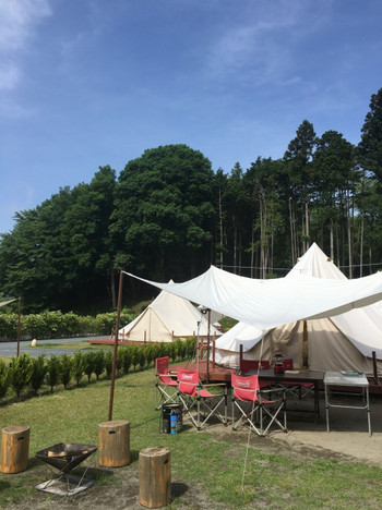 充実したグランピング体験が過ごせる3474217