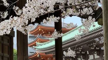 観光スポット / 24