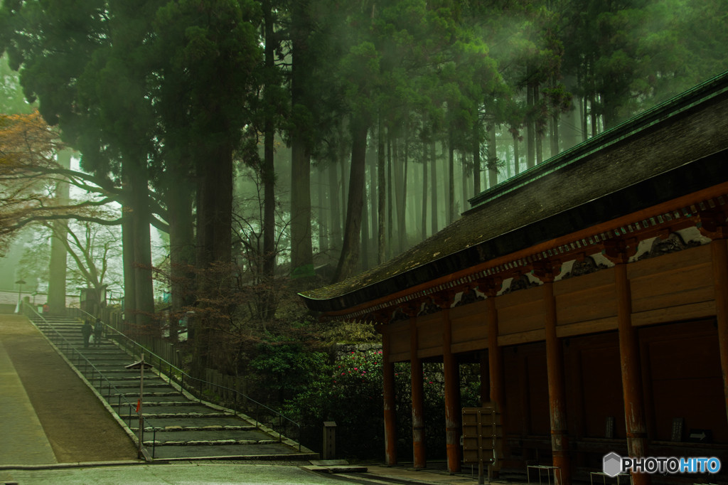 比叡山延暦寺【延暦寺会館】3907870