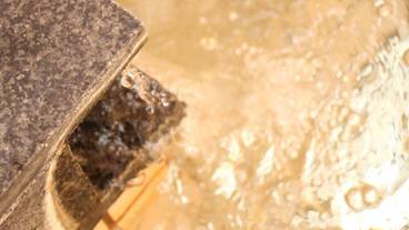 共用バスルーム / 13